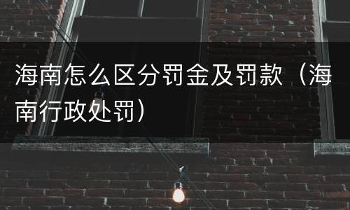 海南怎么区分罚金及罚款（海南行政处罚）