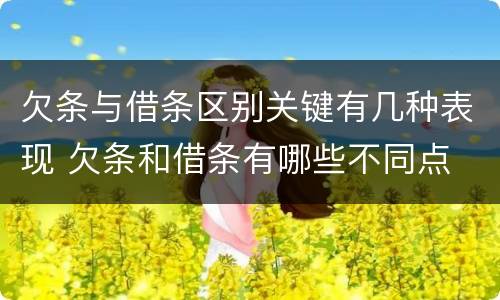 欠条与借条区别关键有几种表现 欠条和借条有哪些不同点