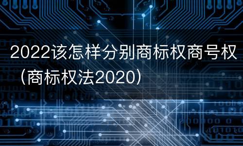 2022该怎样分别商标权商号权（商标权法2020）
