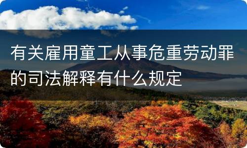 有关雇用童工从事危重劳动罪的司法解释有什么规定