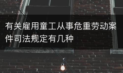 有关雇用童工从事危重劳动案件司法规定有几种