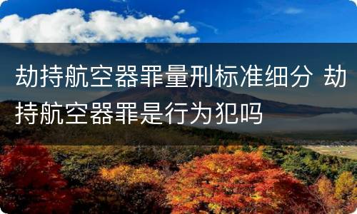 劫持航空器罪量刑标准细分 劫持航空器罪是行为犯吗