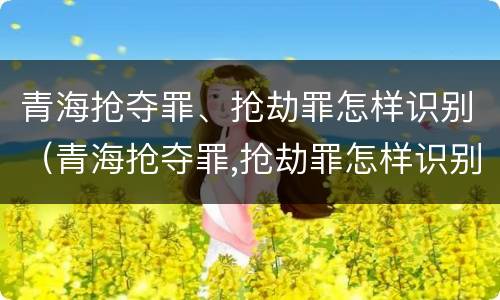 青海抢夺罪、抢劫罪怎样识别（青海抢夺罪,抢劫罪怎样识别的）