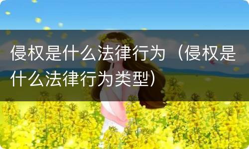 侵权是什么法律行为（侵权是什么法律行为类型）