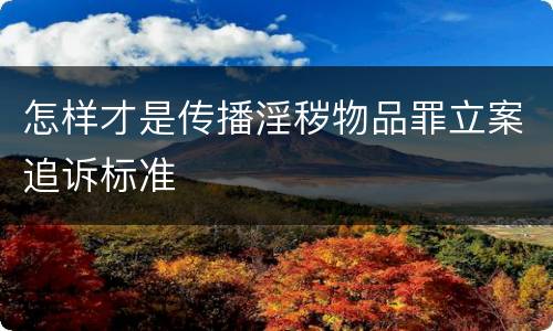 怎样才是传播淫秽物品罪立案追诉标准