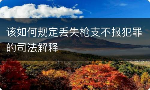 该如何规定丢失枪支不报犯罪的司法解释