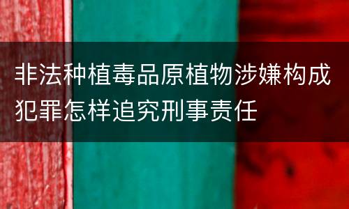 非法种植毒品原植物涉嫌构成犯罪怎样追究刑事责任