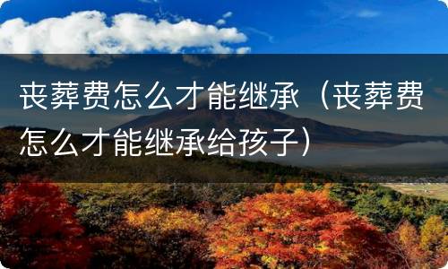 丧葬费怎么才能继承（丧葬费怎么才能继承给孩子）