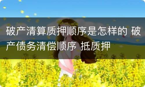 破产清算质押顺序是怎样的 破产债务清偿顺序 抵质押