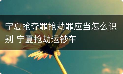 宁夏抢夺罪抢劫罪应当怎么识别 宁夏抢劫运钞车