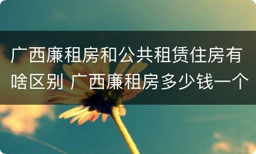 广西廉租房和公共租赁住房有啥区别 广西廉租房多少钱一个月
