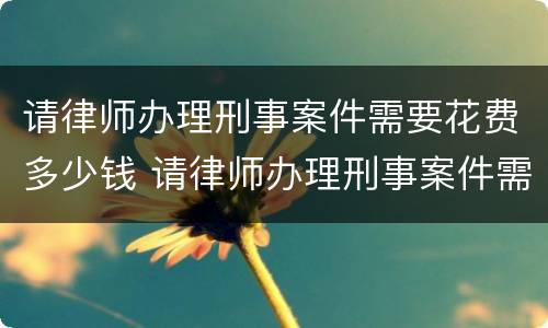 请律师办理刑事案件需要花费多少钱 请律师办理刑事案件需要多少费用
