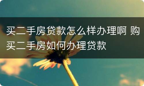 买二手房贷款怎么样办理啊 购买二手房如何办理贷款