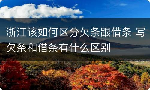 浙江该如何区分欠条跟借条 写欠条和借条有什么区别