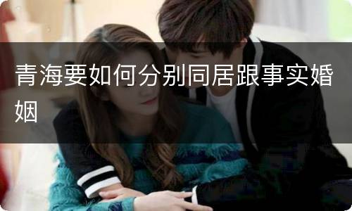 青海要如何分别同居跟事实婚姻