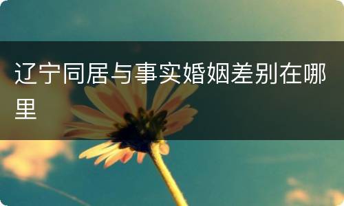 辽宁同居与事实婚姻差别在哪里