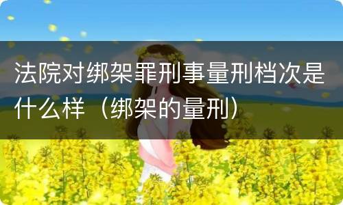 法院对绑架罪刑事量刑档次是什么样（绑架的量刑）