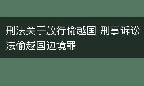 刑法关于放行偷越国 刑事诉讼法偷越国边境罪