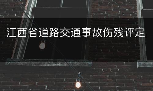江西省道路交通事故伤残评定