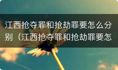 江西抢夺罪和抢劫罪要怎么分别（江西抢夺罪和抢劫罪要怎么分别认定）