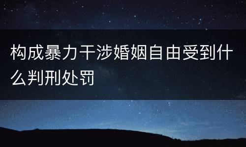 构成暴力干涉婚姻自由受到什么判刑处罚