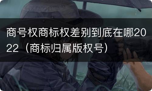 商号权商标权差别到底在哪2022（商标归属版权号）