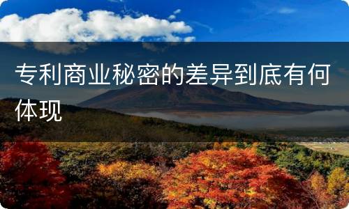 专利商业秘密的差异到底有何体现