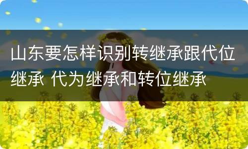 山东要怎样识别转继承跟代位继承 代为继承和转位继承