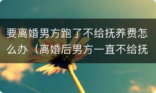 要离婚男方跑了不给抚养费怎么办（离婚后男方一直不给抚养费怎么办）