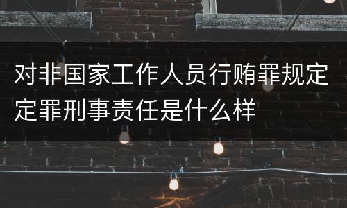 对非国家工作人员行贿罪规定定罪刑事责任是什么样