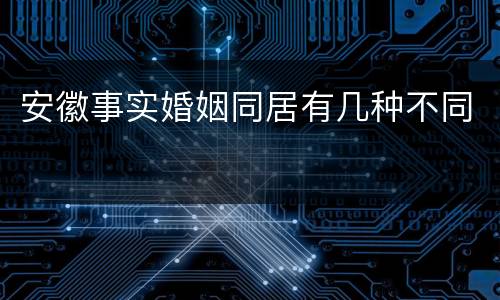 安徽事实婚姻同居有几种不同