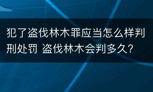 犯了盗伐林木罪应当怎么样判刑处罚 盗伐林木会判多久?