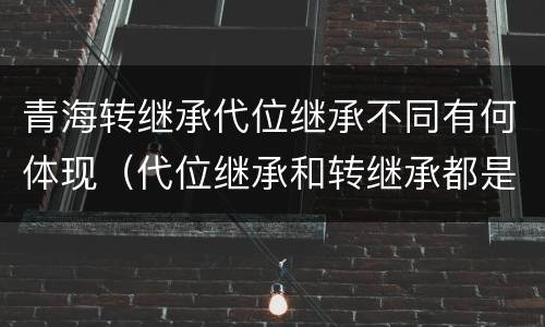 青海转继承代位继承不同有何体现（代位继承和转继承都是法定继承）