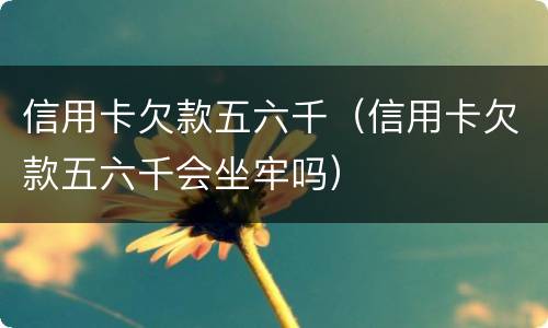 信用卡欠款五六千（信用卡欠款五六千会坐牢吗）