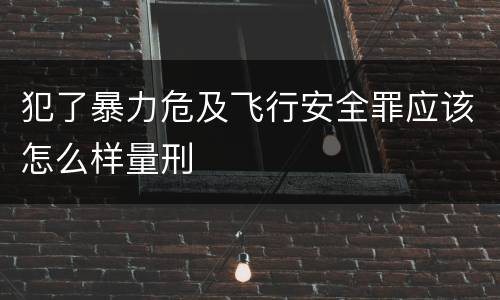 犯了暴力危及飞行安全罪应该怎么样量刑
