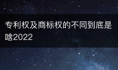 专利权及商标权的不同到底是啥2022