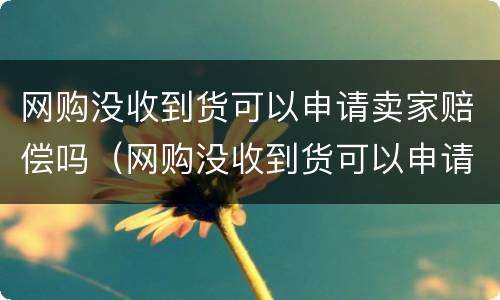 网购没收到货可以申请卖家赔偿吗（网购没收到货可以申请卖家赔偿吗）