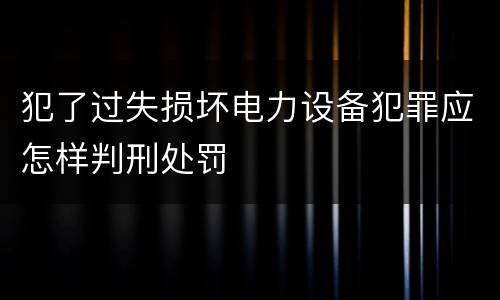 犯了过失损坏电力设备犯罪应怎样判刑处罚