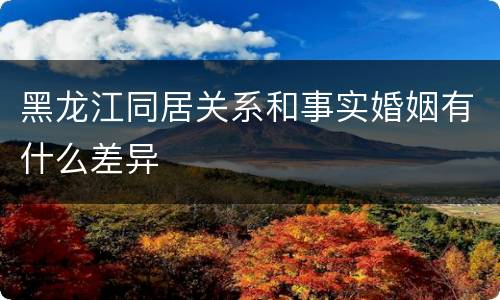 黑龙江同居关系和事实婚姻有什么差异