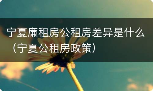 宁夏廉租房公租房差异是什么（宁夏公租房政策）