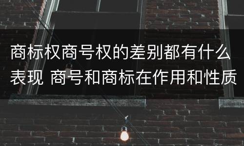 商标权商号权的差别都有什么表现 商号和商标在作用和性质上的区别