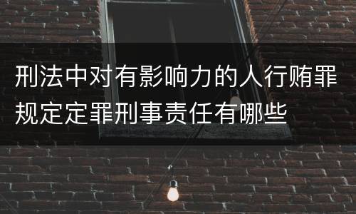 刑法中对有影响力的人行贿罪规定定罪刑事责任有哪些