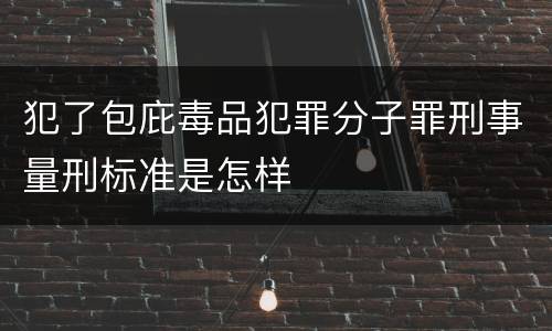 犯了包庇毒品犯罪分子罪刑事量刑标准是怎样