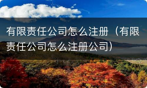 有限责任公司怎么注册（有限责任公司怎么注册公司）
