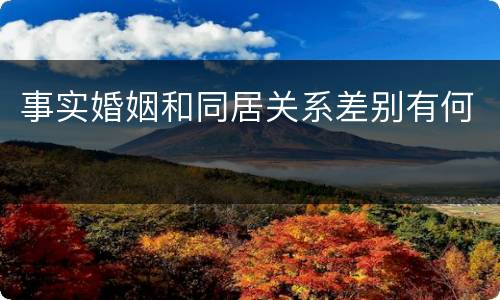 事实婚姻和同居关系差别有何