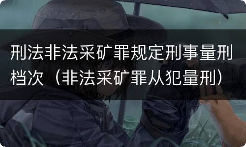 刑法非法采矿罪规定刑事量刑档次（非法采矿罪从犯量刑）