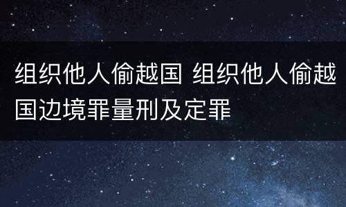 组织他人偷越国 组织他人偷越国边境罪量刑及定罪