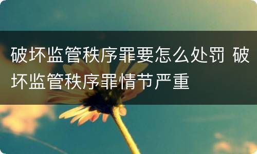 破坏监管秩序罪要怎么处罚 破坏监管秩序罪情节严重