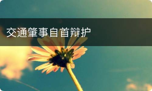 交通肇事自首辩护