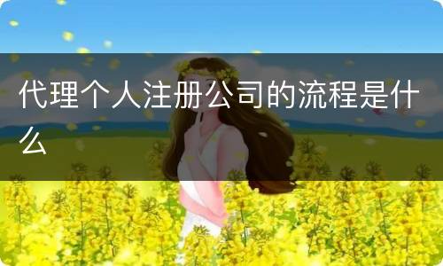 代理个人注册公司的流程是什么